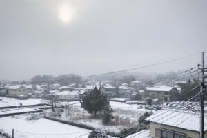 投稿についてもっと詳しく 雪景色
