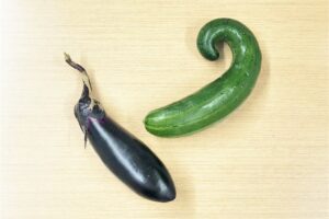 Read more about the article ミニ菜園で夏野菜の収穫
