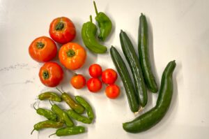 投稿についてもっと詳しく 夏野菜の収穫