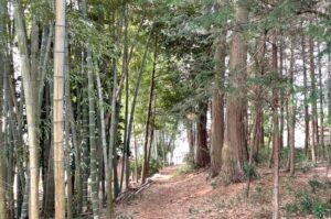 投稿についてもっと詳しく 今年もこの季節がやってきました