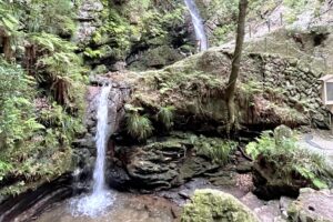 投稿についてもっと詳しく 黒山三滝